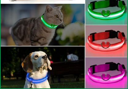 BRITE COLLAR
