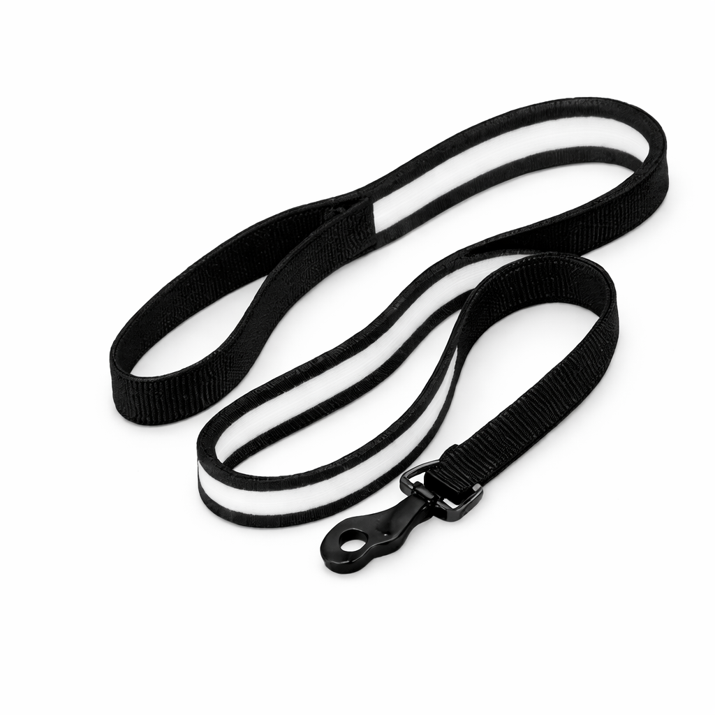 Brite Leash (LED Handle)