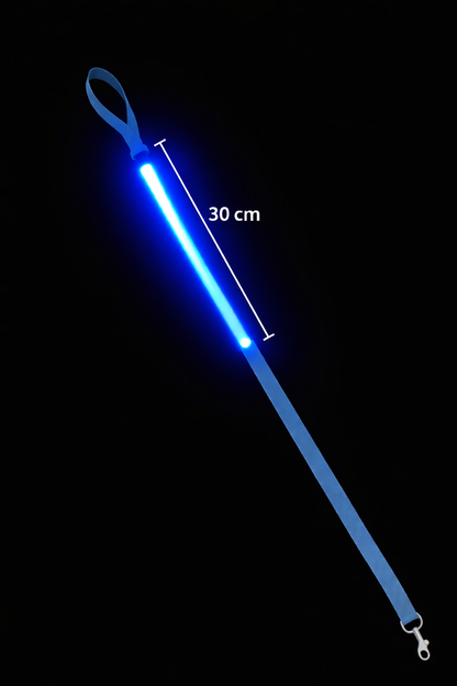 Brite Leash (LED Handle)