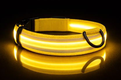 Brite Collar