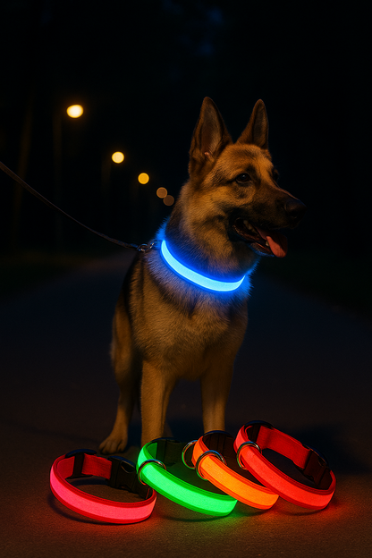 Brite Collar