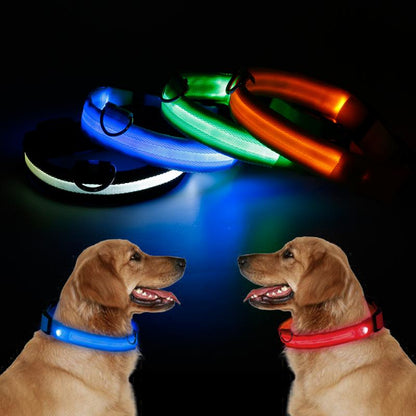 BRITE COLLAR