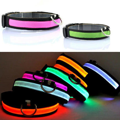 BRITE COLLAR