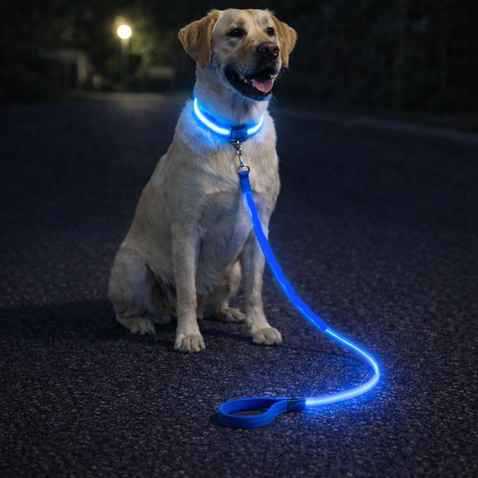 Matching Brite Leash (LED Handle) 4 ft Length