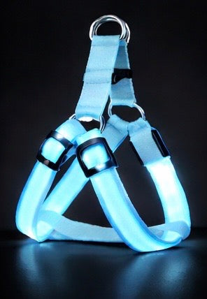 Brite™ Harness