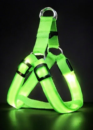 Brite™ Harness