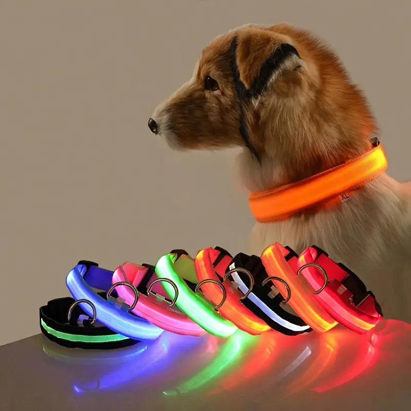 BRITE COLLAR