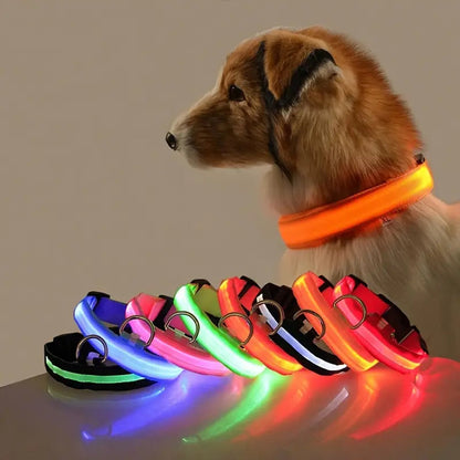 BRITE COLLAR