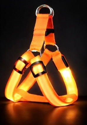Brite™ Harness