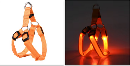 Brite™ Harness