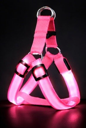 Brite™ Harness
