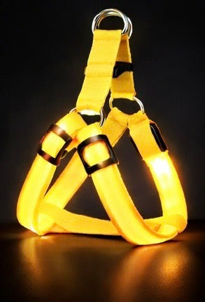 Brite™ Harness